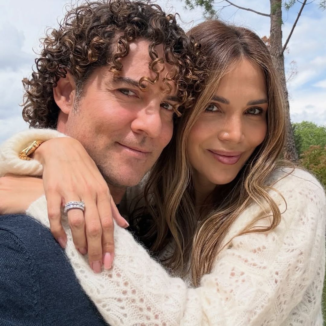 Así es la impresionante casa de David Bisbal y Rosanna Zanetti en Madrid: ubicación privilegiada, escalera escultórica, imponente palillería y oasis urbano