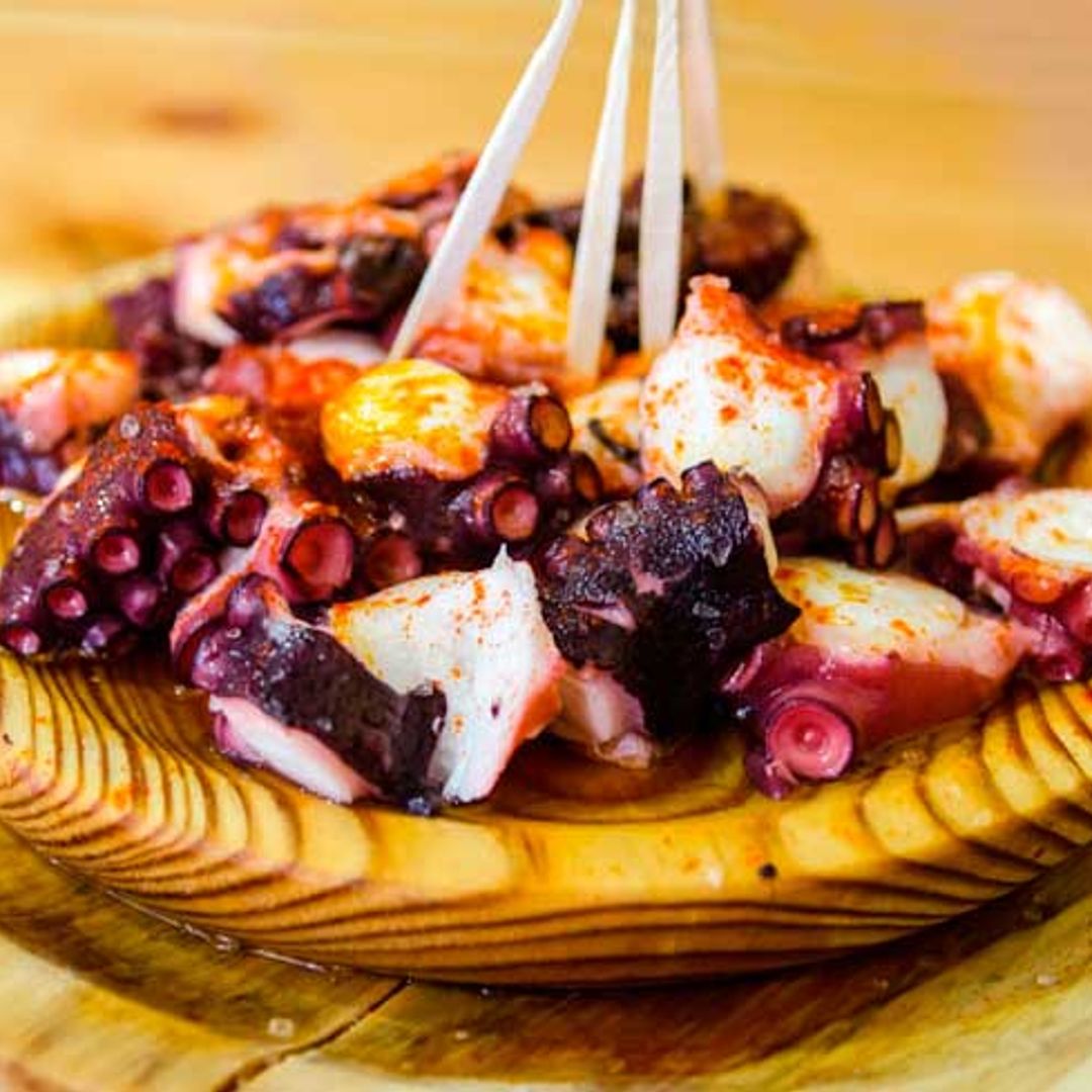 pulpo_adobe_z