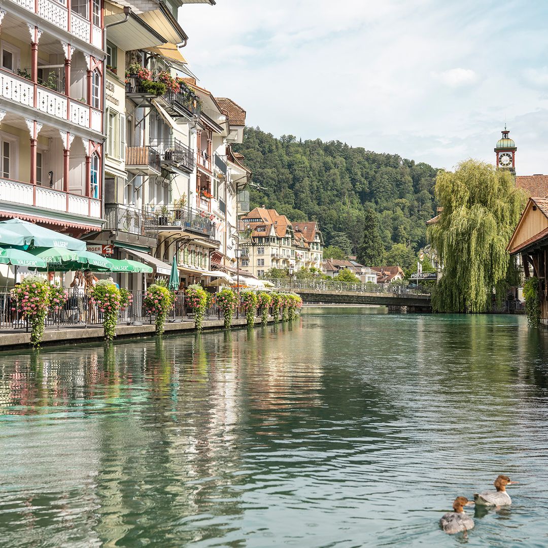 Ciudad suiza de Thun durante el verano