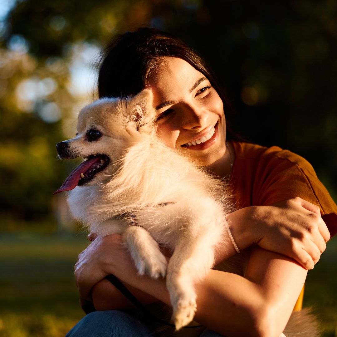 Las razas de perros que mejor se adaptan a las personas tranquilas, según la psicología
