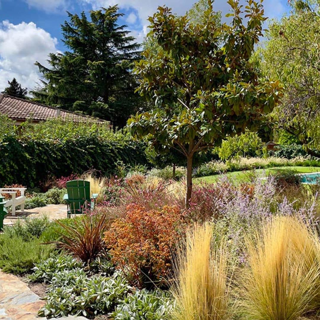 Así se diseñan los jardines naturalizados, el estilo de paisajismo que más triunfa