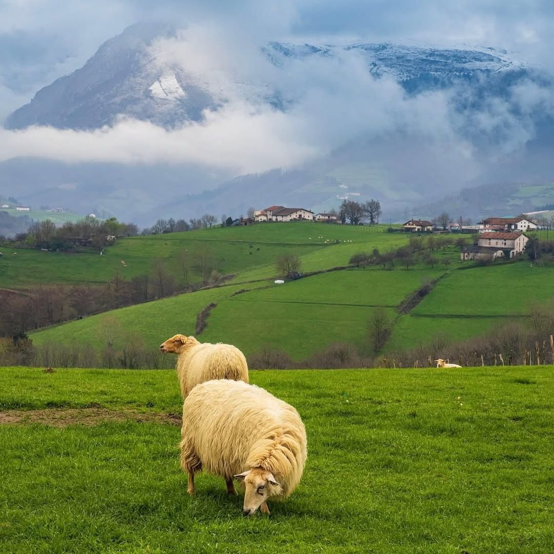 Paisaje del Goierri, Guipúzcoa