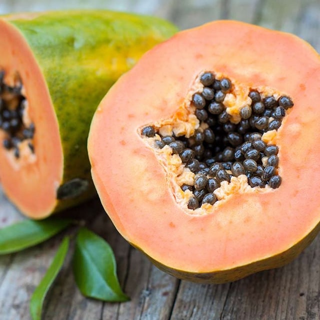 portada papaya adobe