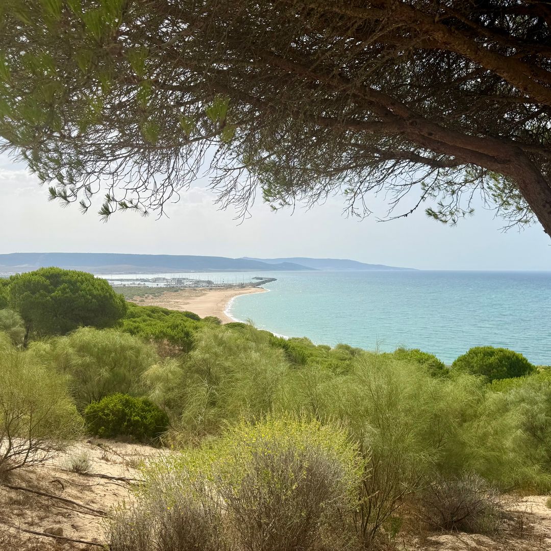 Parque Natural de la Breña y Marismas del Barbate
