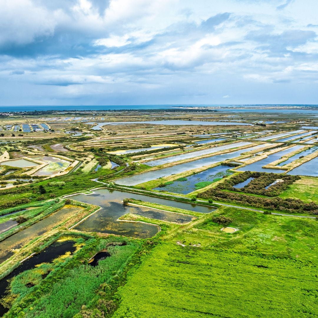 Reserva Natural Lilleau des Niges, isla de Ré, Francia