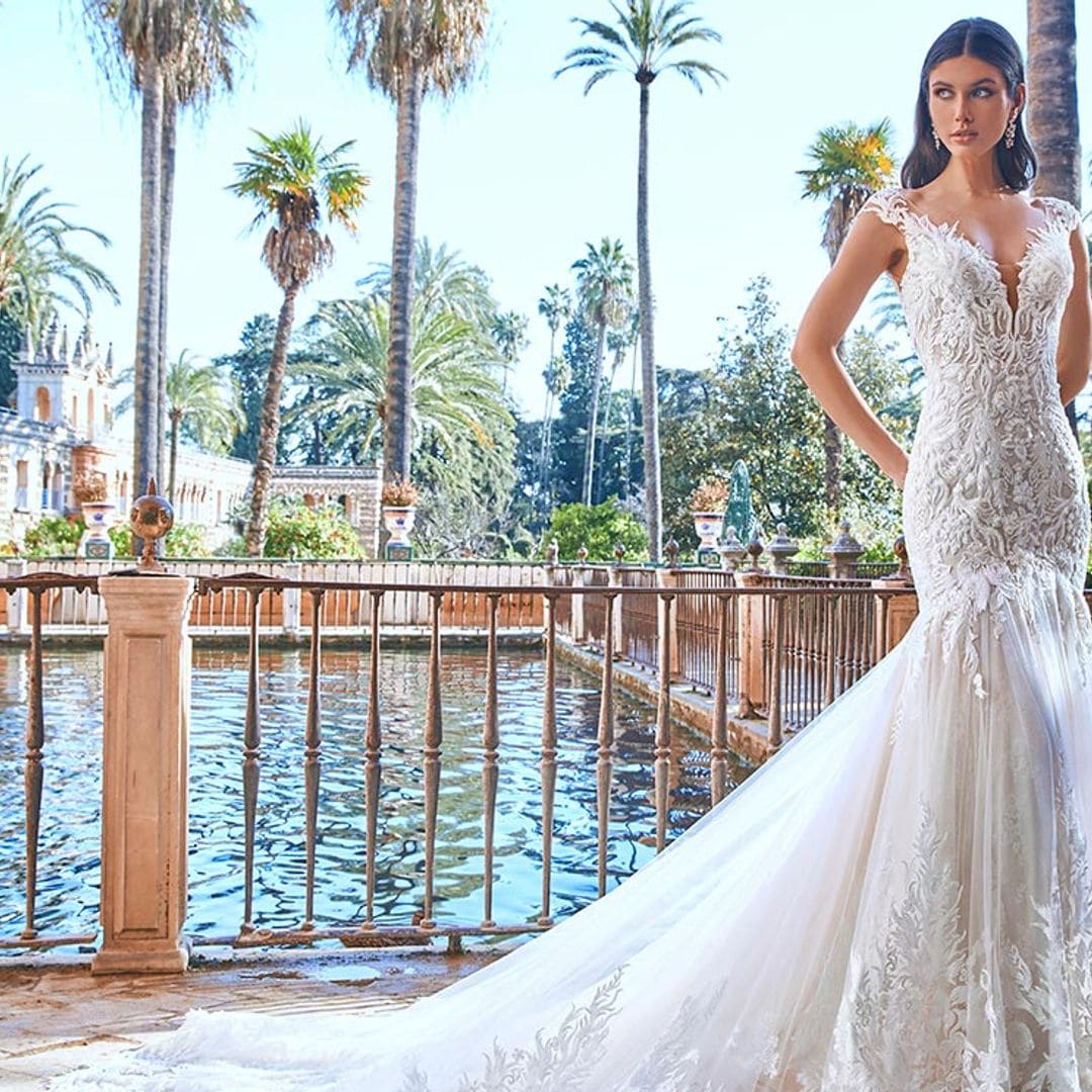 Pronovias Privée Oasis: conoce la colección de vestidos más exóticos y majestuosos