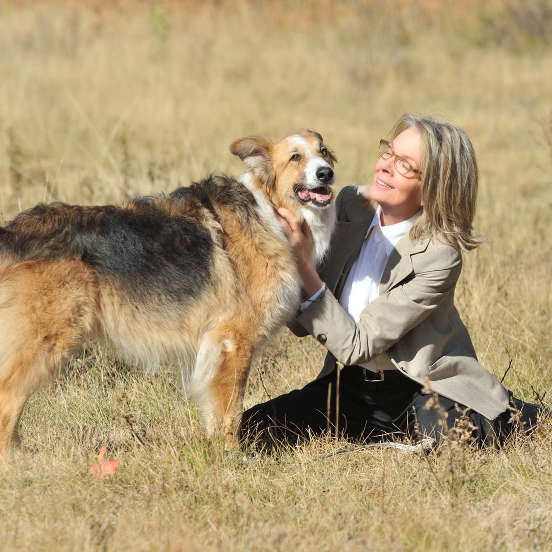 Editorial use only. No book cover usage.
Mandatory Credit: Photo by Kasdan Prods/Kobal/Shutterstock (5883596a)
Diane Keaton
Darling Companion - 2012
Director: Lawrence Kasdan
Kasdan Productions
USA
Scene Still