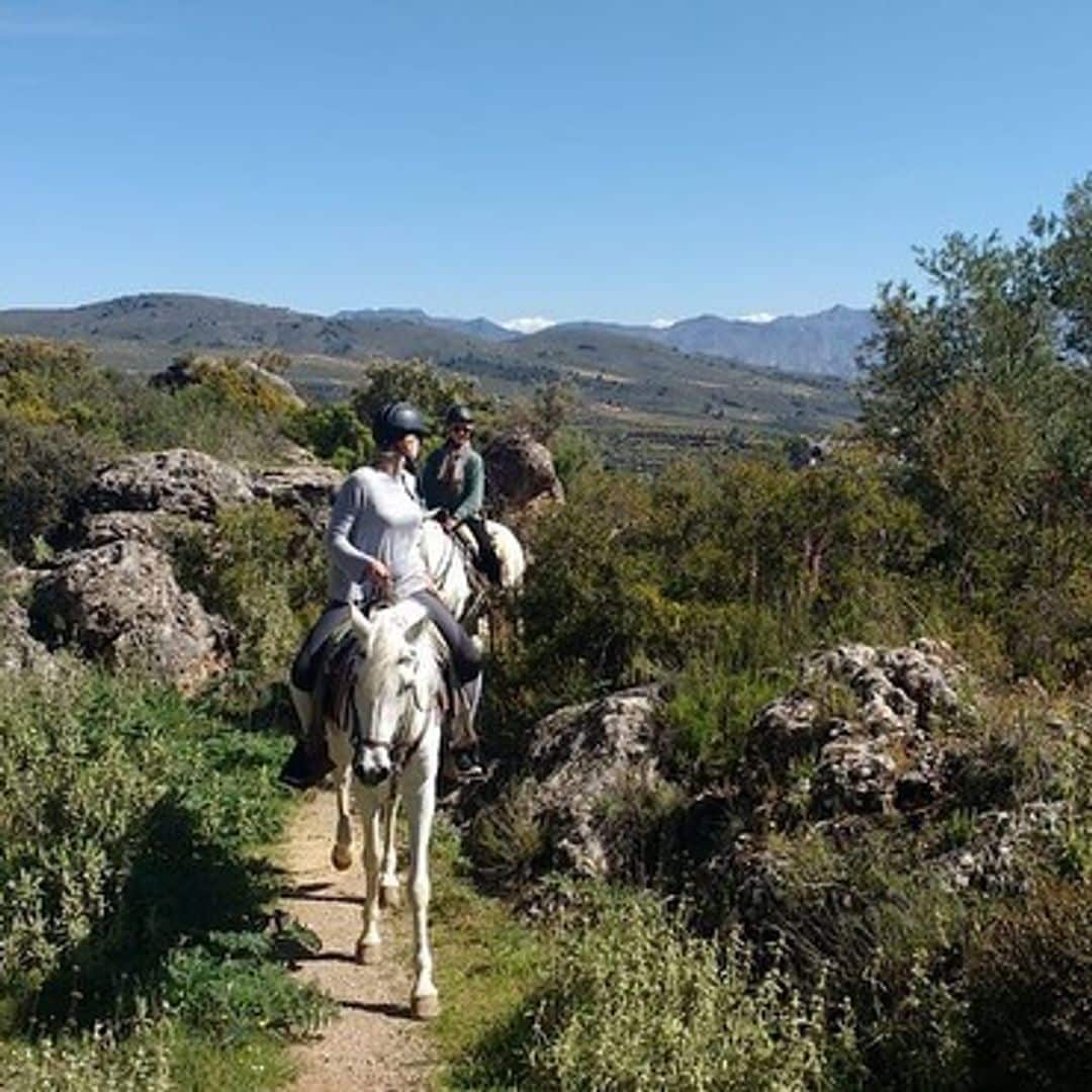 Paseo a caballo por el Valle de Lecrín, Granada