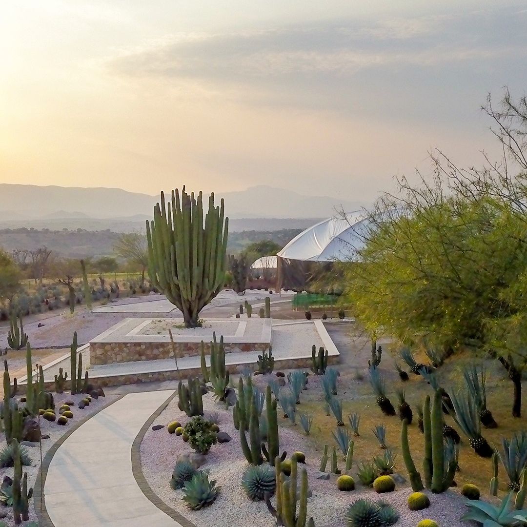 La gala se llevará a cabo en Jardínes de México.