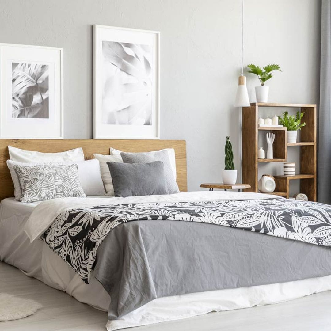 Plantas que sí puedes tener en el dormitorio