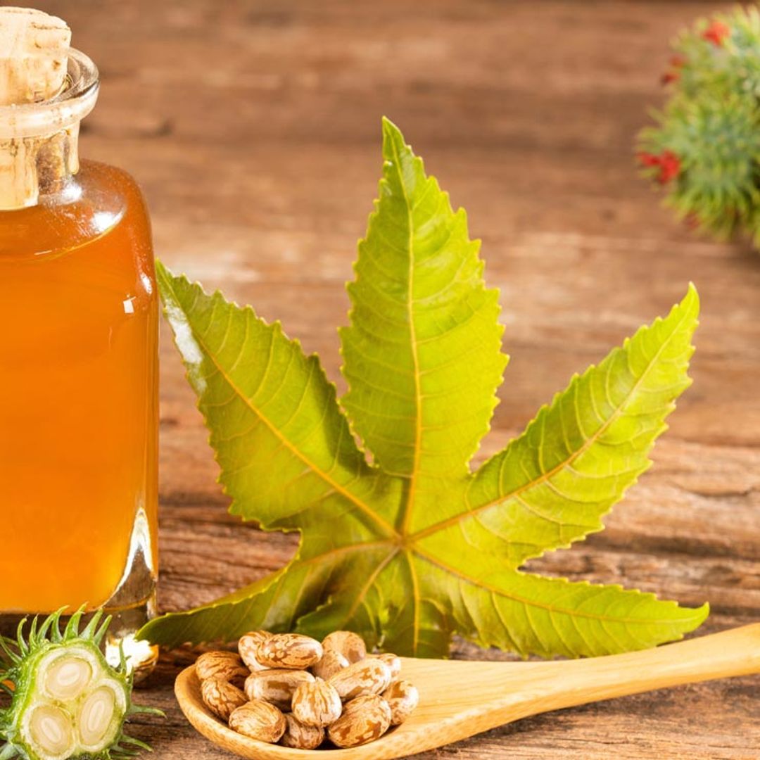 ¿Conoces todas las propiedades del aceite de ricino?