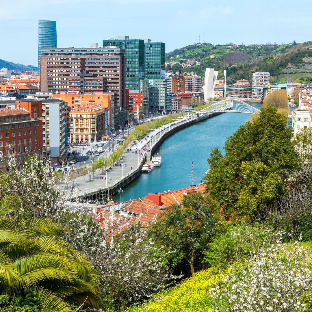 Vista de Bilbao desde el parque de Etxebarria