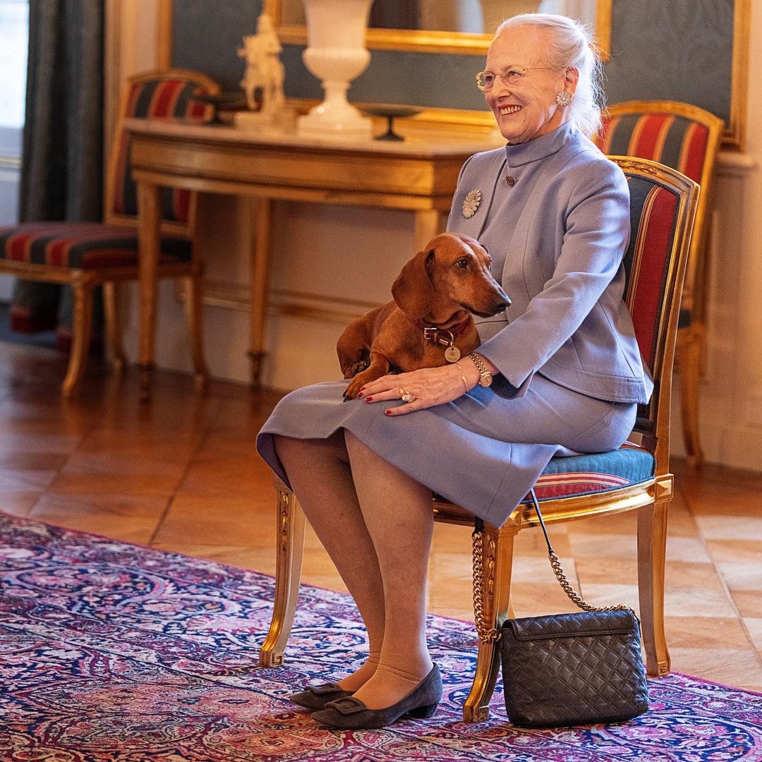 Del perro salchicha que acompaña a la reina Margarita a las cenas de gala al chiguagua de Charlene de Mónaco: conoce a las mascotas de la realeza