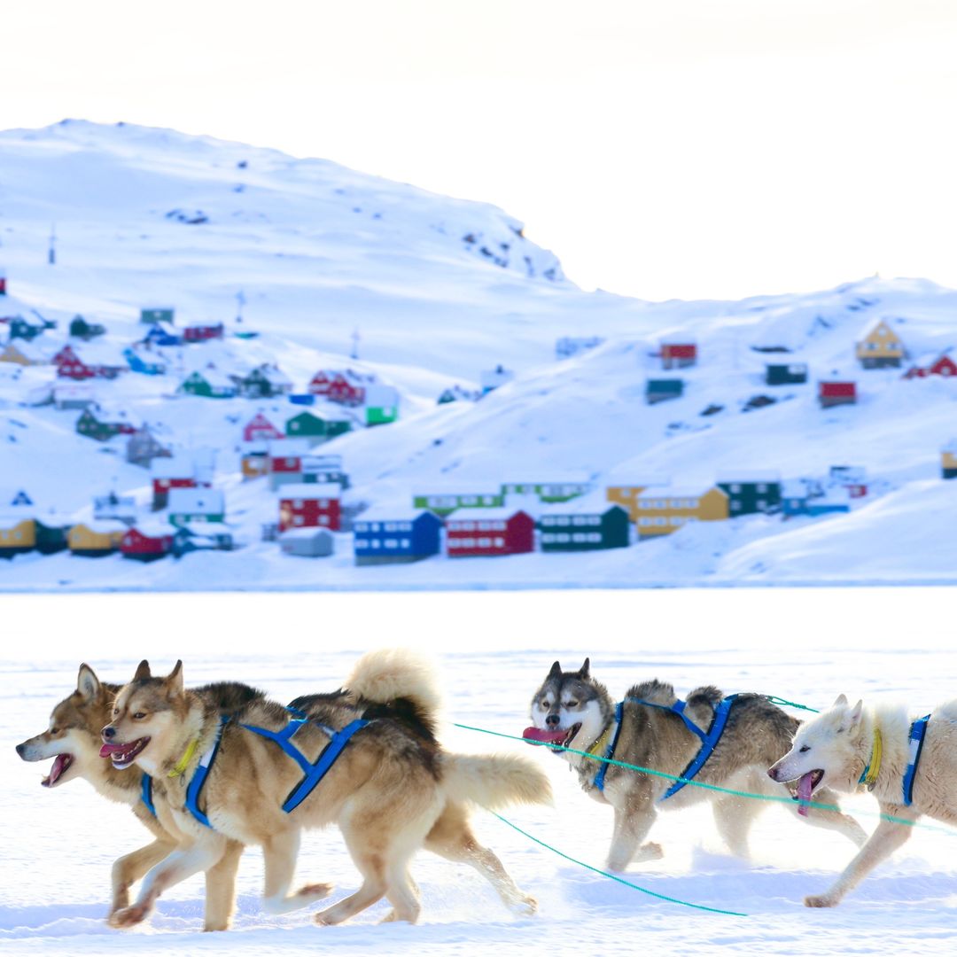 Trineo de perros cerca de Tasiilaq en el este de Groenlandia