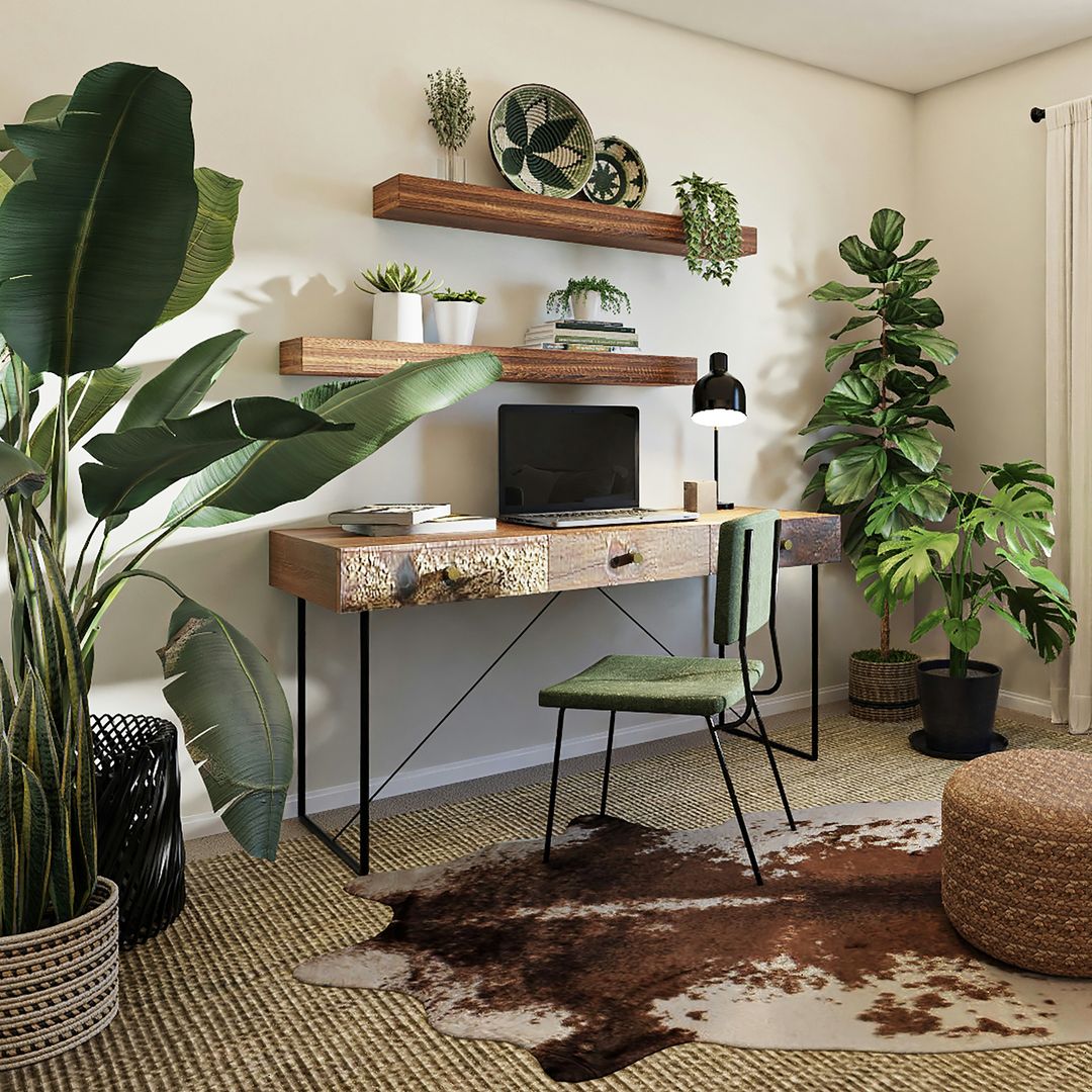 Plantas de interior: cómo distribuirlas en casa para un efecto más natural y equilibrado
