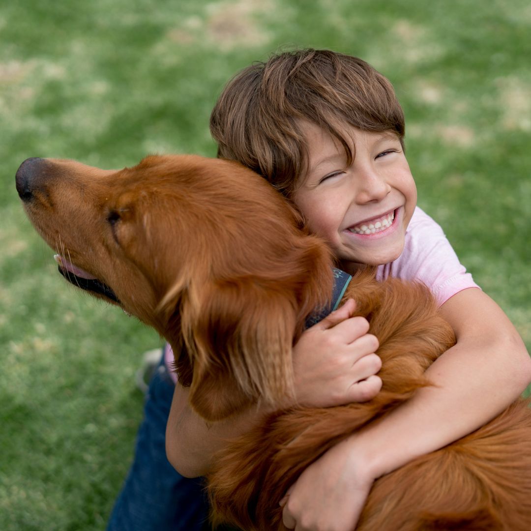 Las 7 razas de perro que requieren más cuidado y supervisión cuando hay niños pequeños