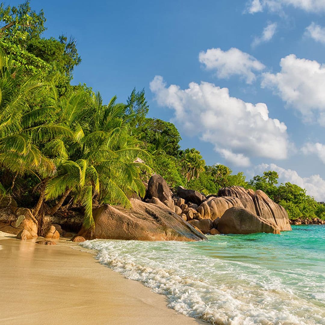 Deja de soñar y date un baño en una de las mejores playas del mundo de 2024