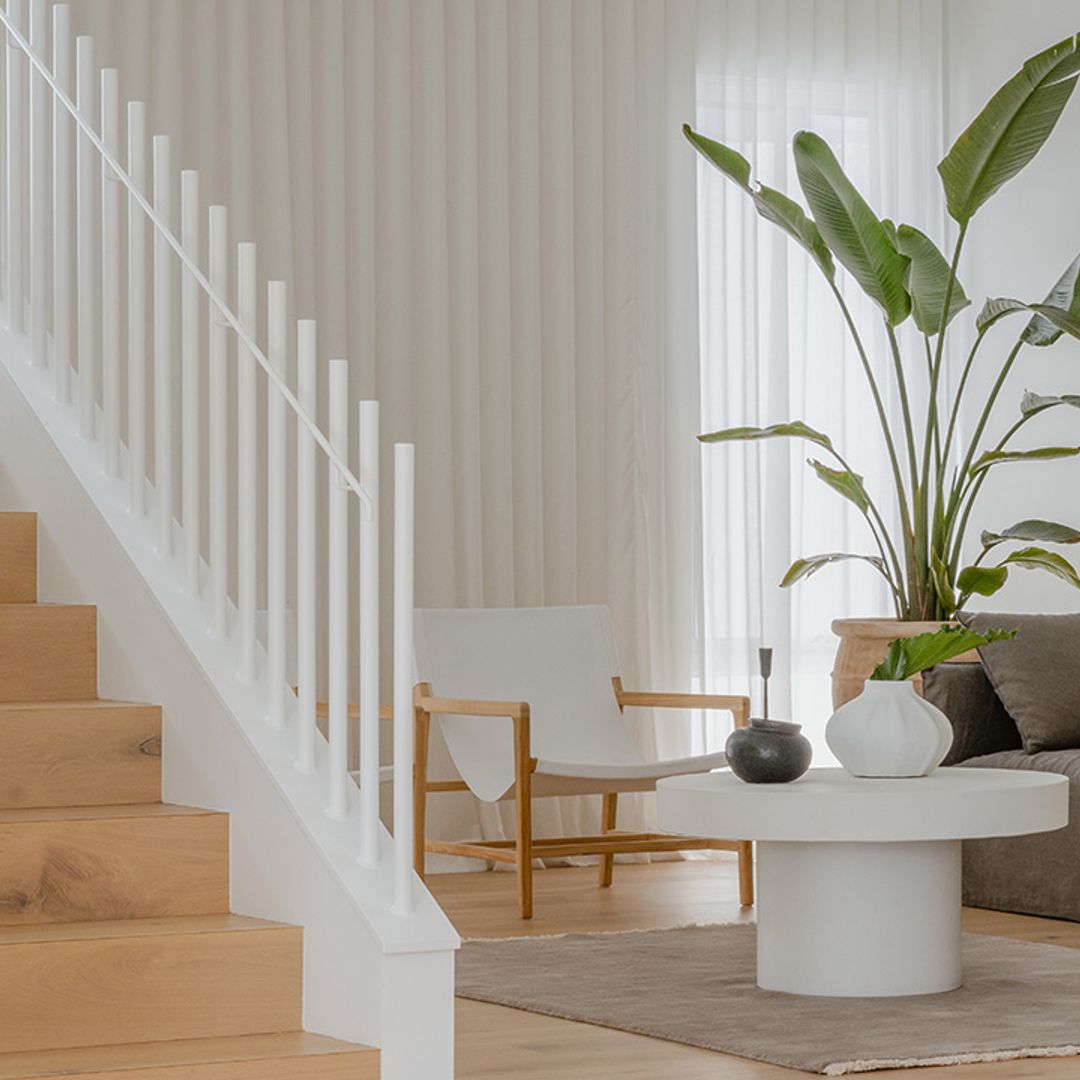 Ideas fáciles y vistosas para decorar con plantas