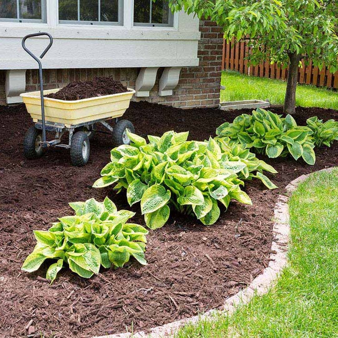 Estos son los mejores materiales para acolchar el suelo del jardín y del huerto