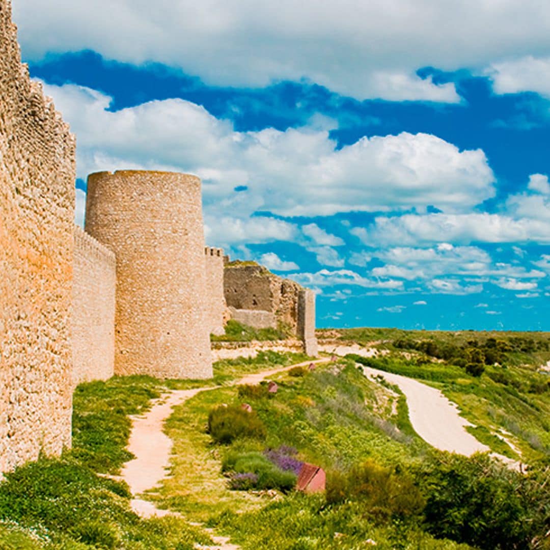 castilla leon