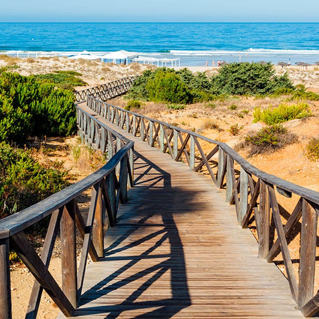 playa La Barrosa Chiclana cadiz andalucia
