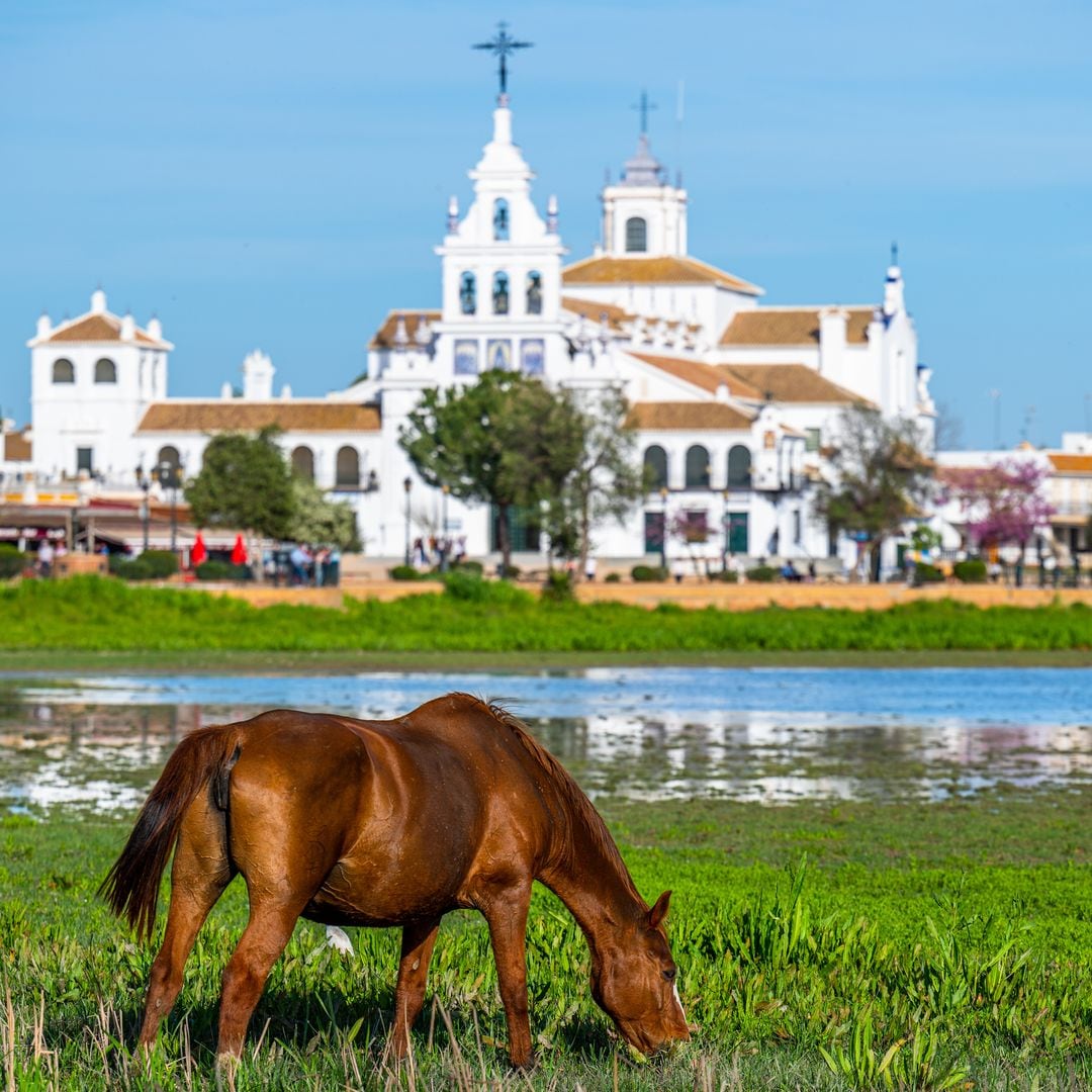 Ermita de El Rocío, Almonte, Huelva
