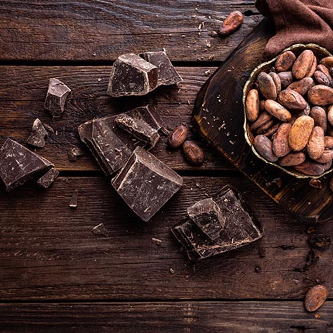 No te prives de los beneficios del cacao