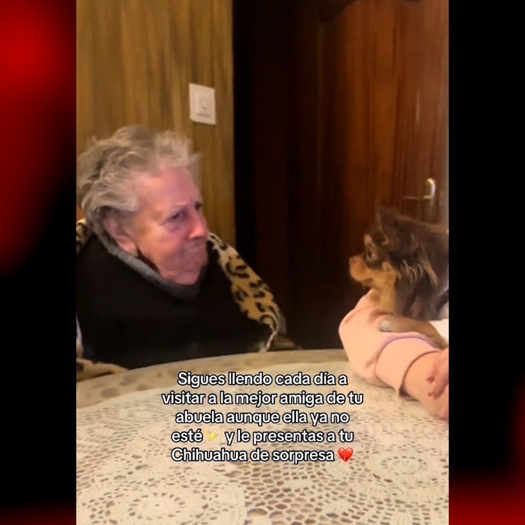 El vídeo más emotivo del día: la enternecedora relación de una joven y la mejor amiga de su abuela