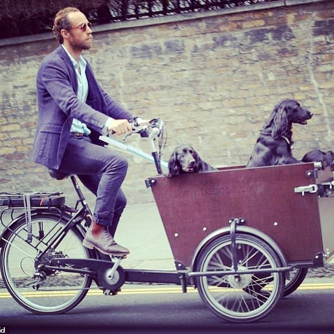 ¡Se busca ladrón! Roban la bici transporta-perros del hermano de Kate Middleton