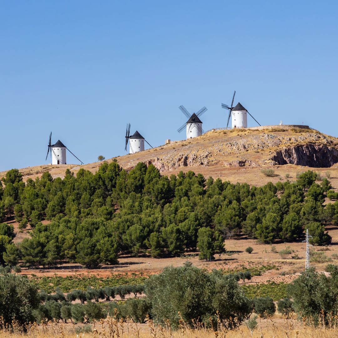 Molinos de Alcázar de San Juan, Ciudad Real
