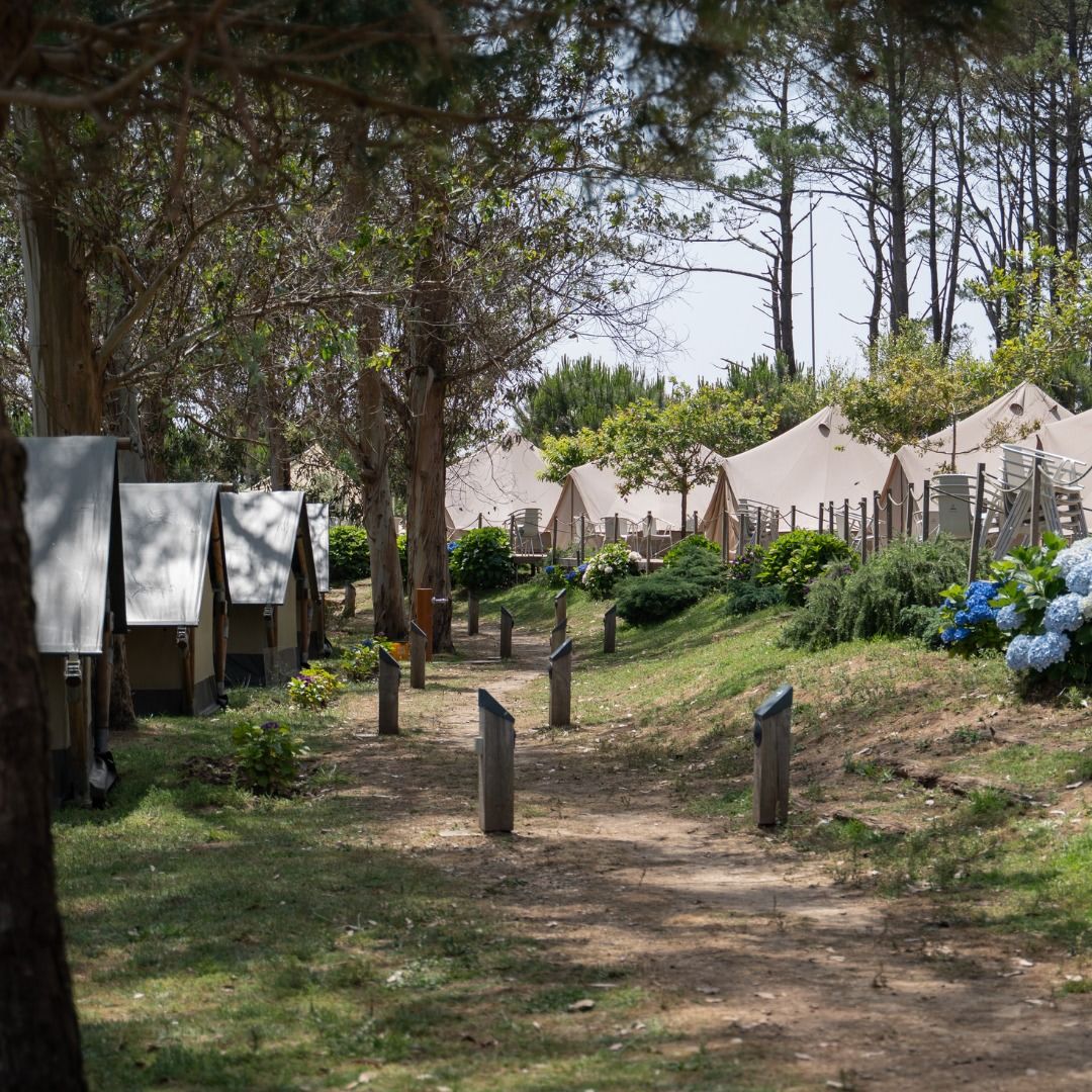 Camping Isla de Ons, Pontevedra
