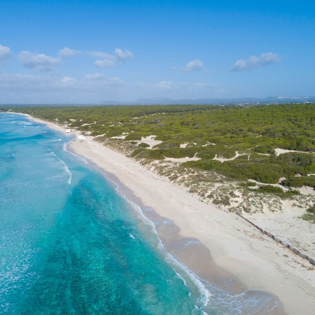 Playa y Parque Natural Marítimo-Terrestre de Es Trenc-Salobrar de Campos en Mallorca