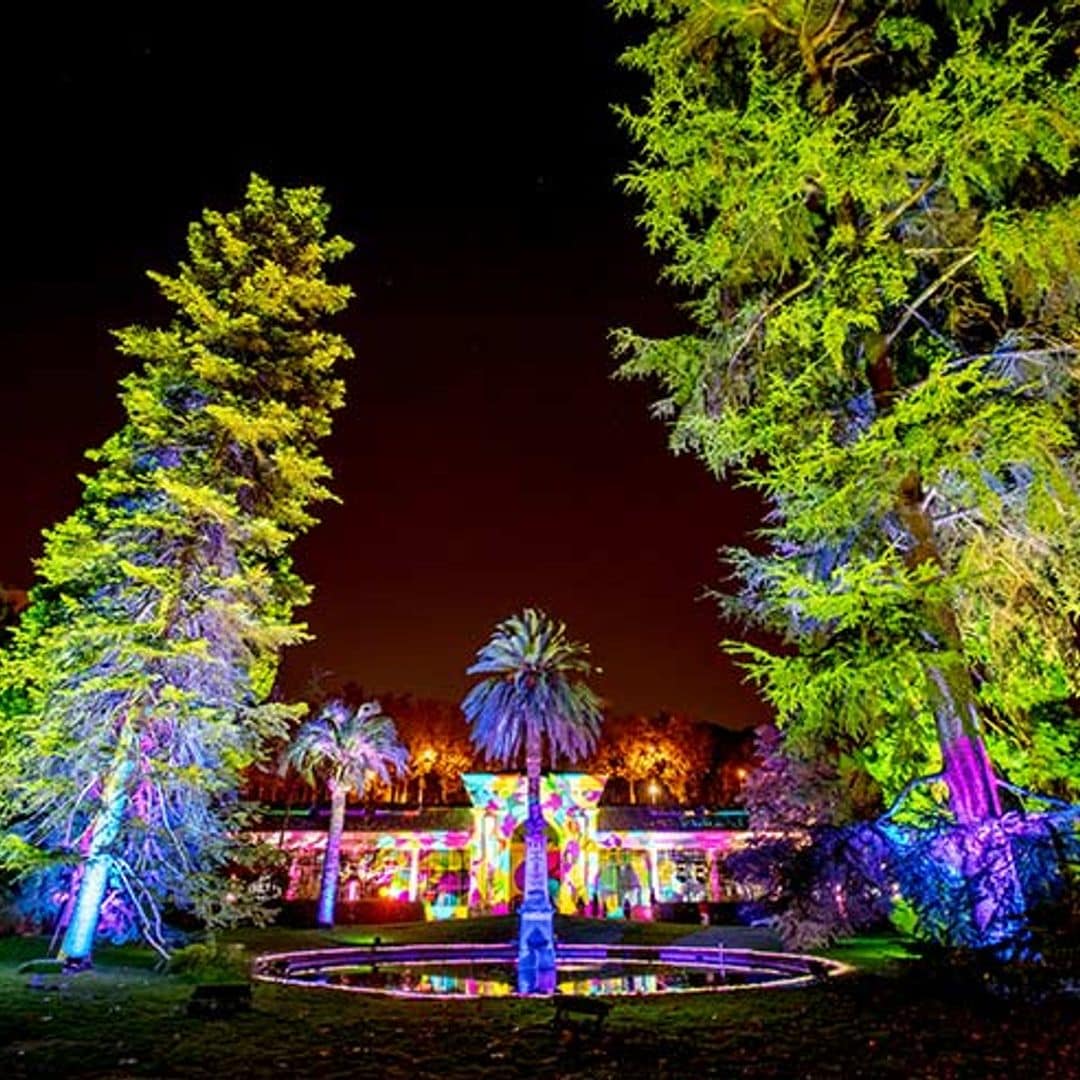 El Jardín Bótánico se enciende por Navidad con miles de luces
