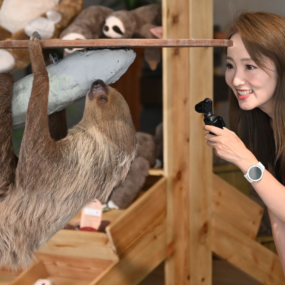 Selfies que matan: cómo la moda de fotografiar perezosos alimenta el comercio ilegal