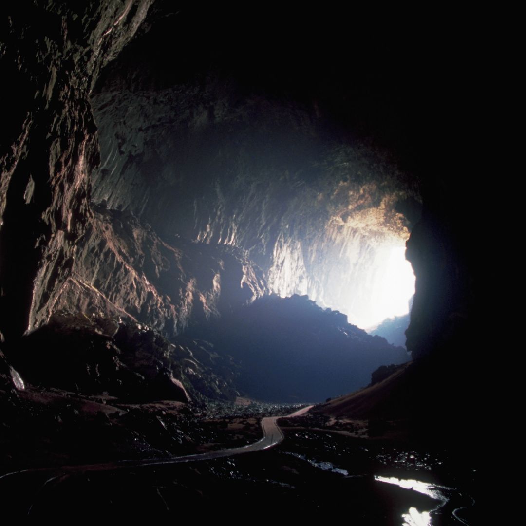 El descubrimiento que fascina a los científicos: una cueva sellada desde hace 40.000 años en Gibraltar