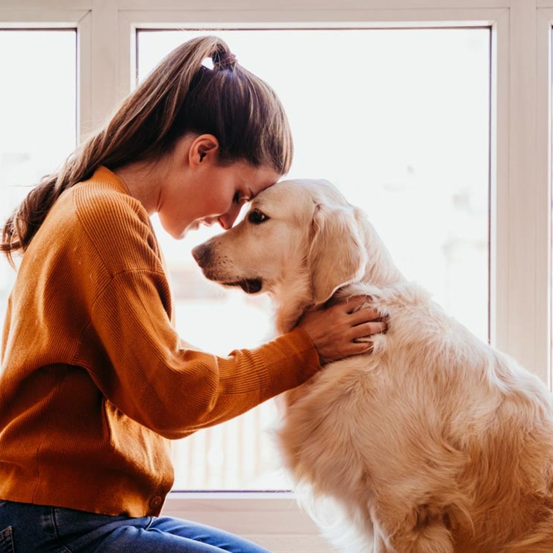 ¿Qué gastos conlleva tener un perro?