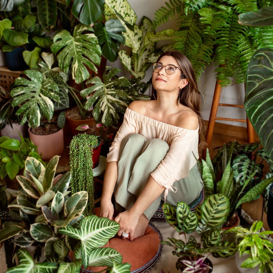 Una experta lo desvela: hablarle a las plantas sí sirve, pero no por lo que te imaginas