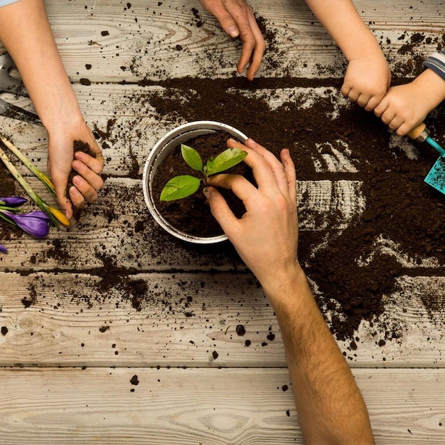 actividades para ser m s sostenibles en casa 