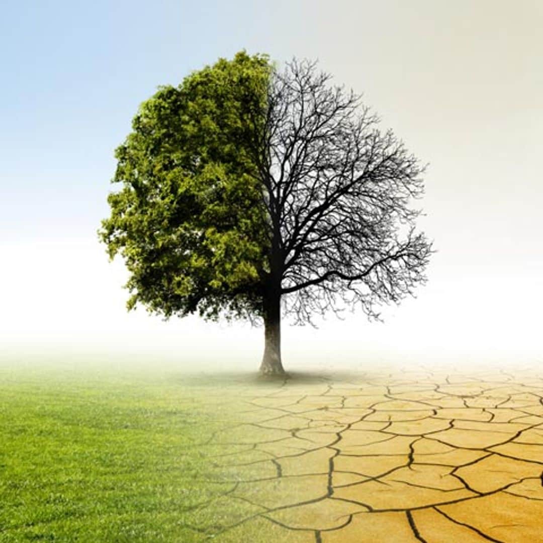 El reto viral de los 10 años que ha servido para dar voz al cambio climático