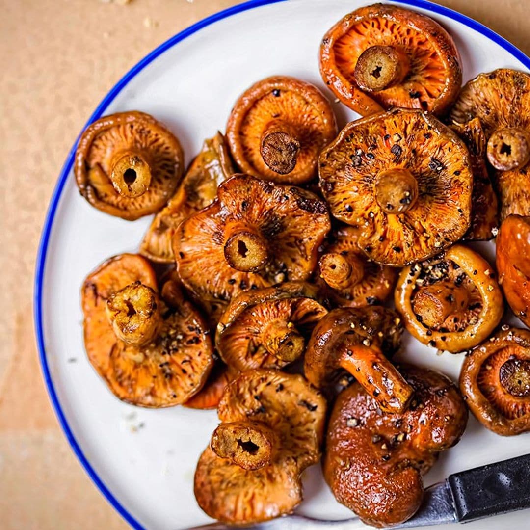 Níscalos o robellones: aprende a limpiarlos, cocinarlos y a disfrutarlos con estas 7 recetas