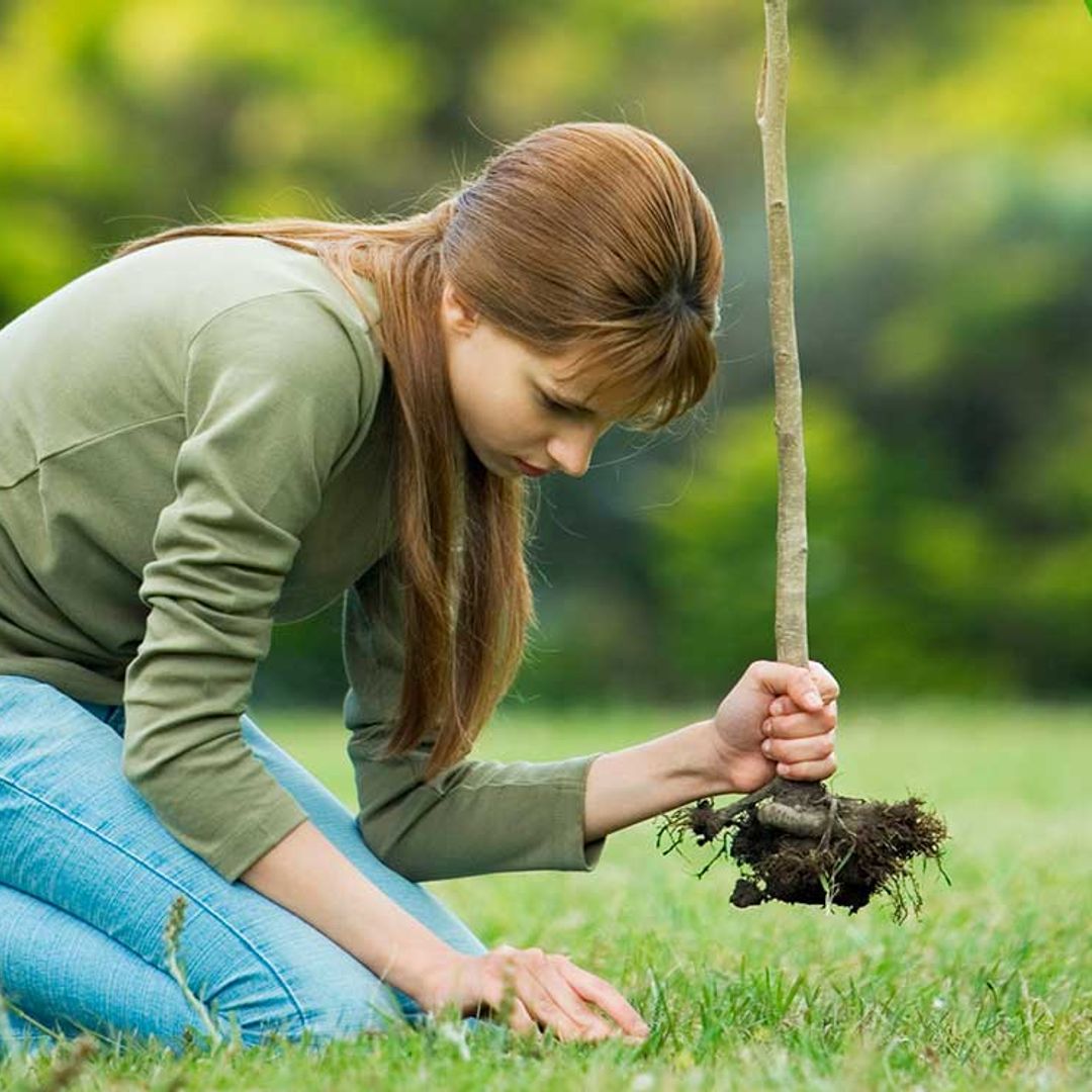 Esta es la curiosa propuesta de Filipinas para luchar contra el cambio climático