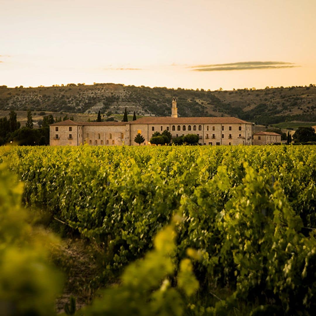 Abadía Retuerta, santuario del lujo, el vino y las experiencias