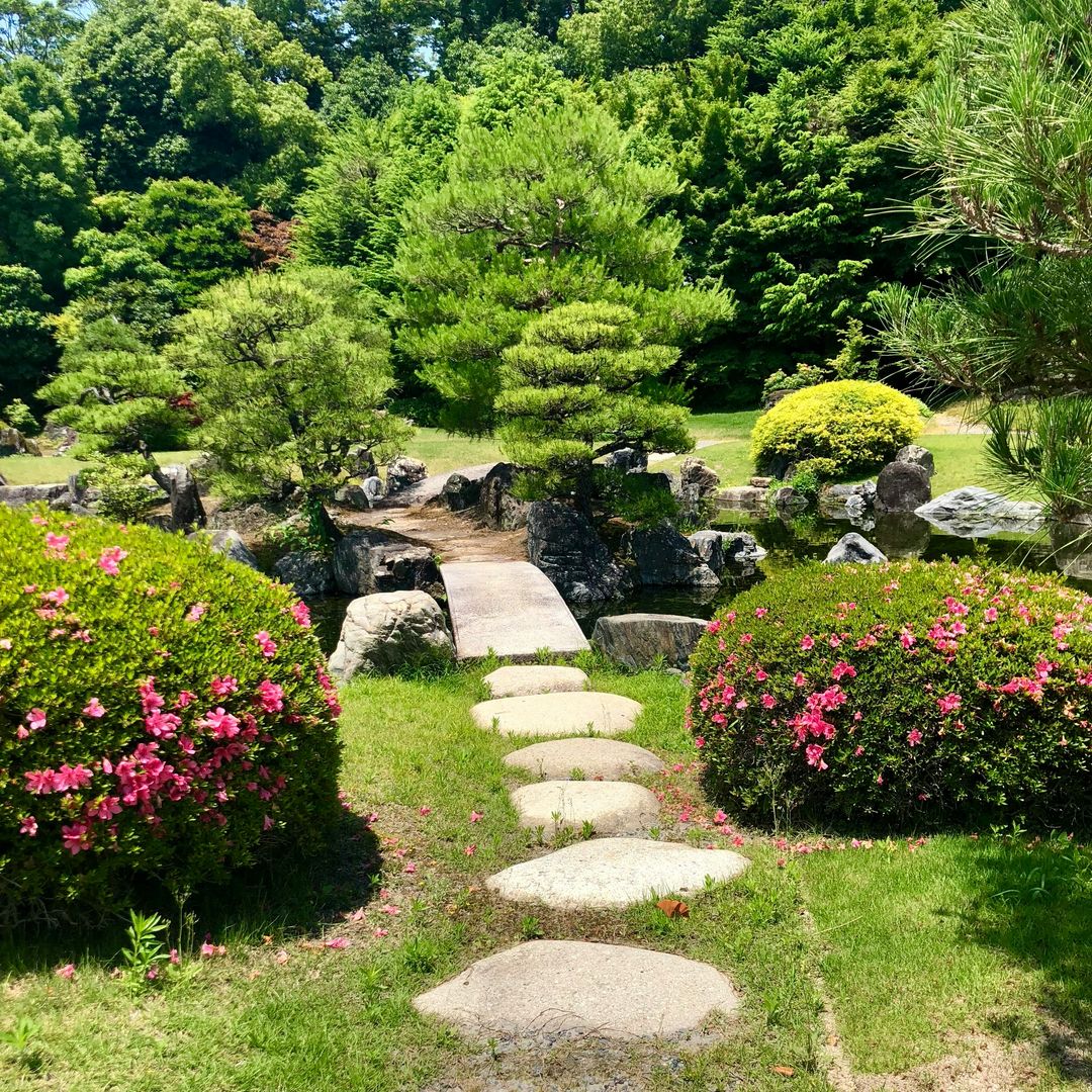 Ideas prácticas para tener un jardín más bonito y biodiverso sin necesidad de usar químicos