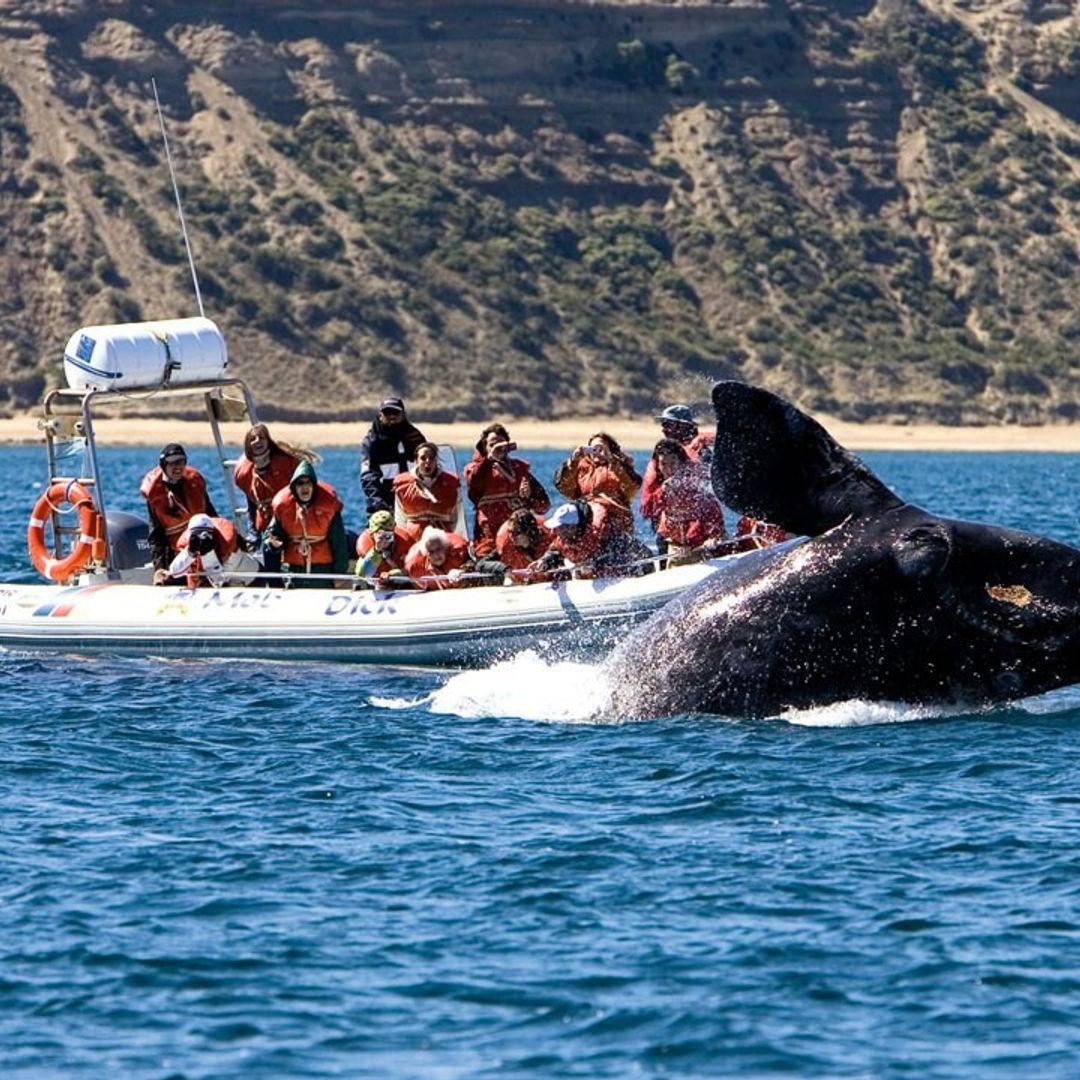 Argentina: En el paraíso de las ballenas