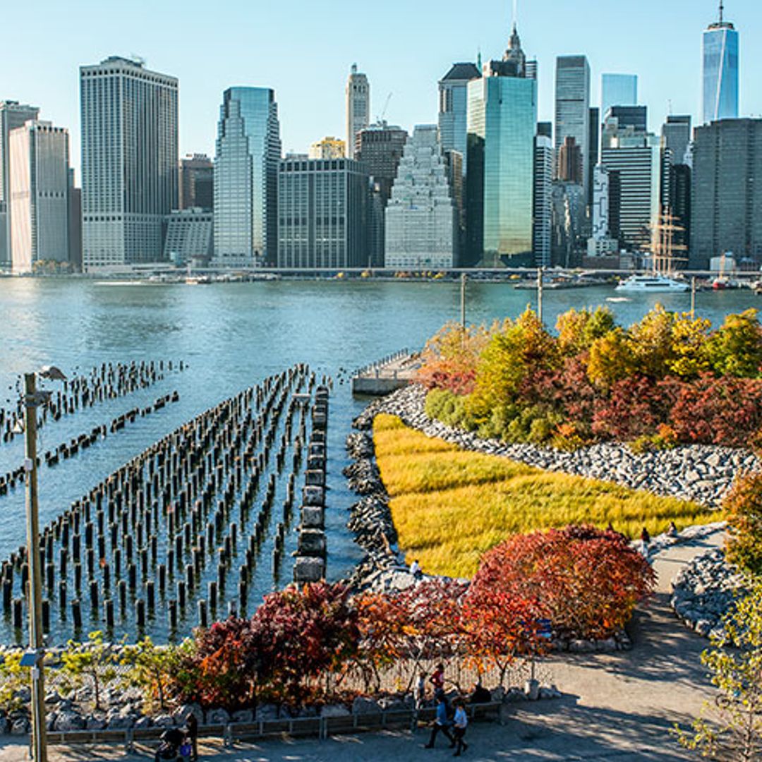 Amor por Nueva York en otoño
