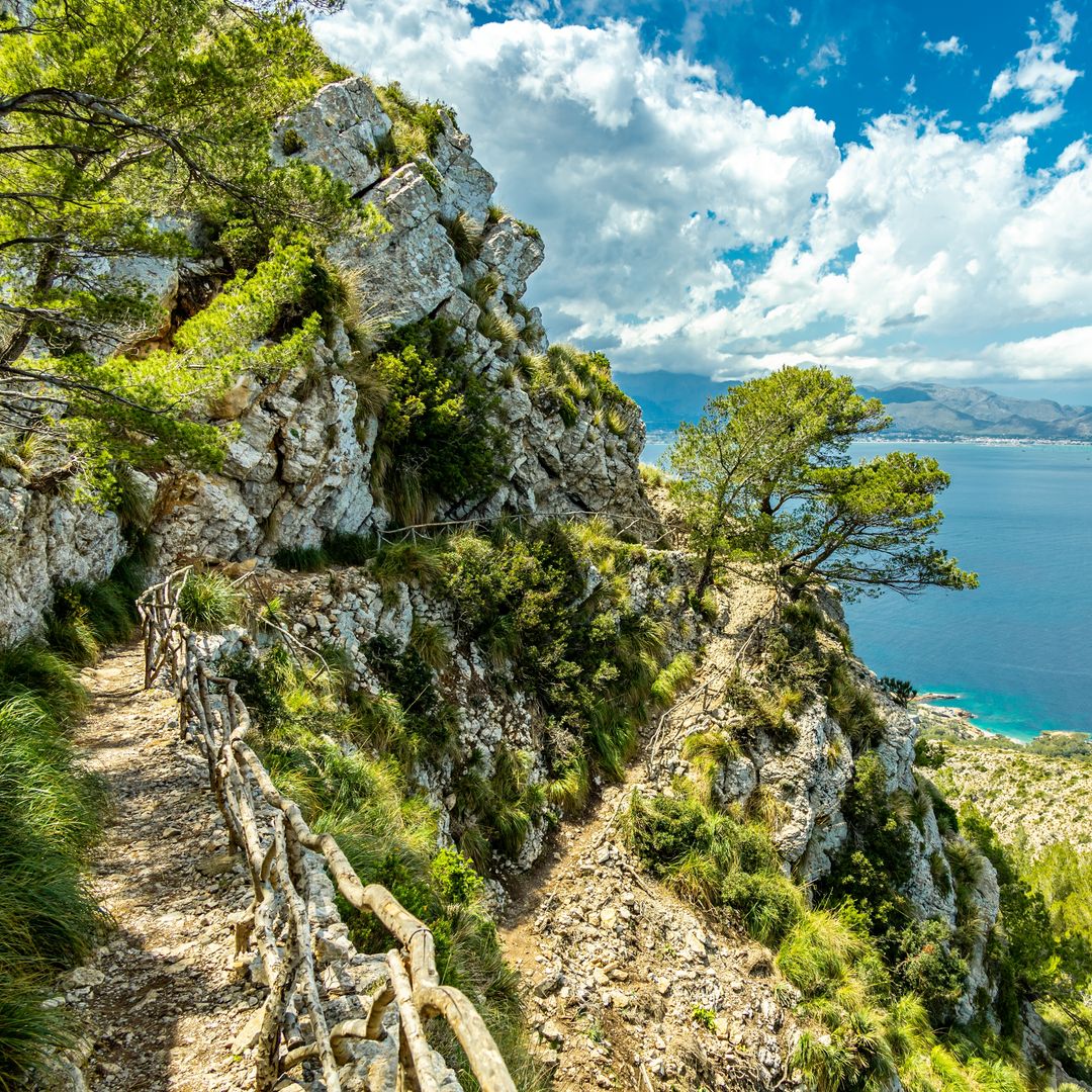 Caminata a la montaña de Talaia d'Alcúdia y mirador con vistas a la bahía de Alcúdia en Mallorca.
