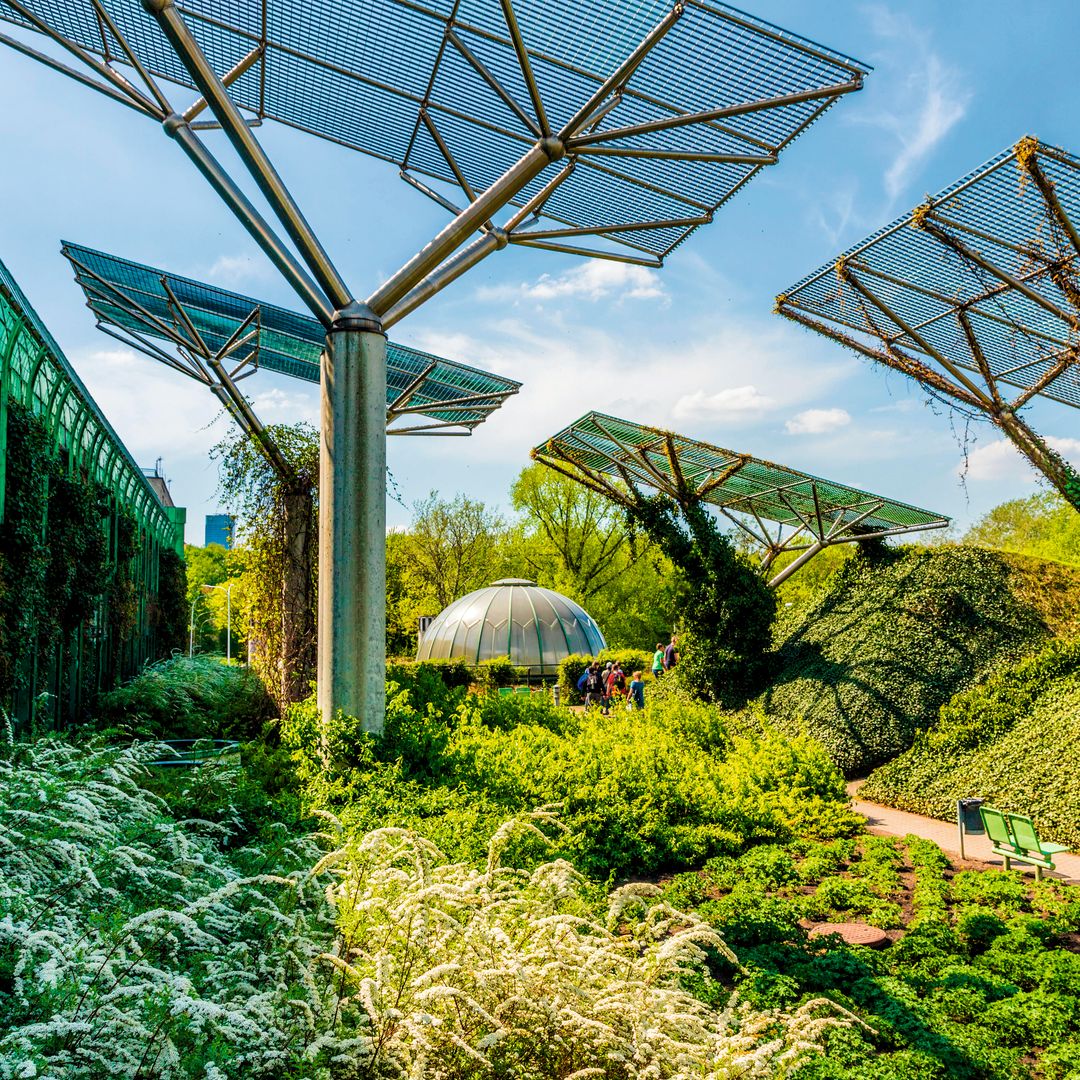 Jardines de la Universidad de Varsovia, Polonia