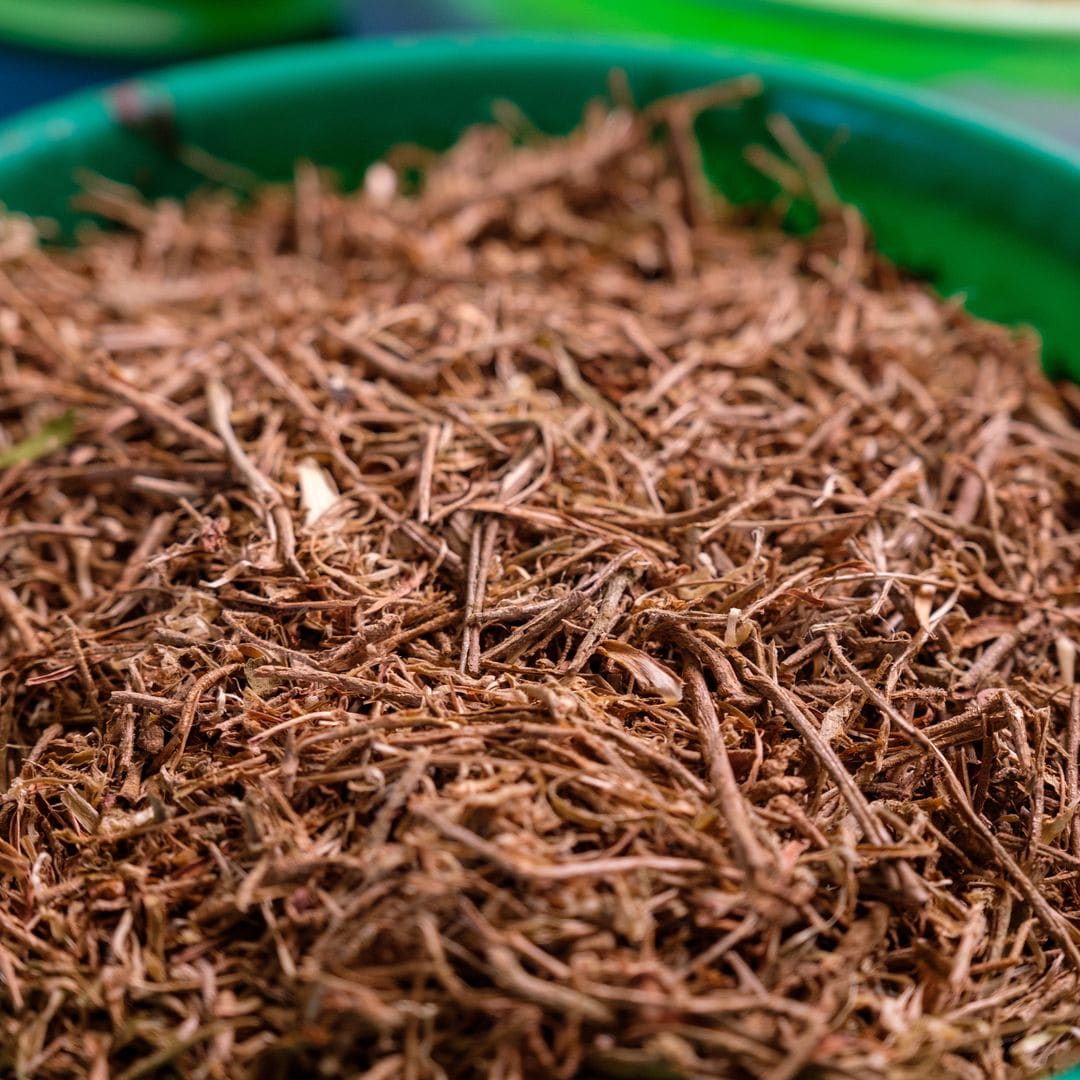 La Ashwagandha viene de una planta que era utilizada por la cultura India como una hierba sagrada.