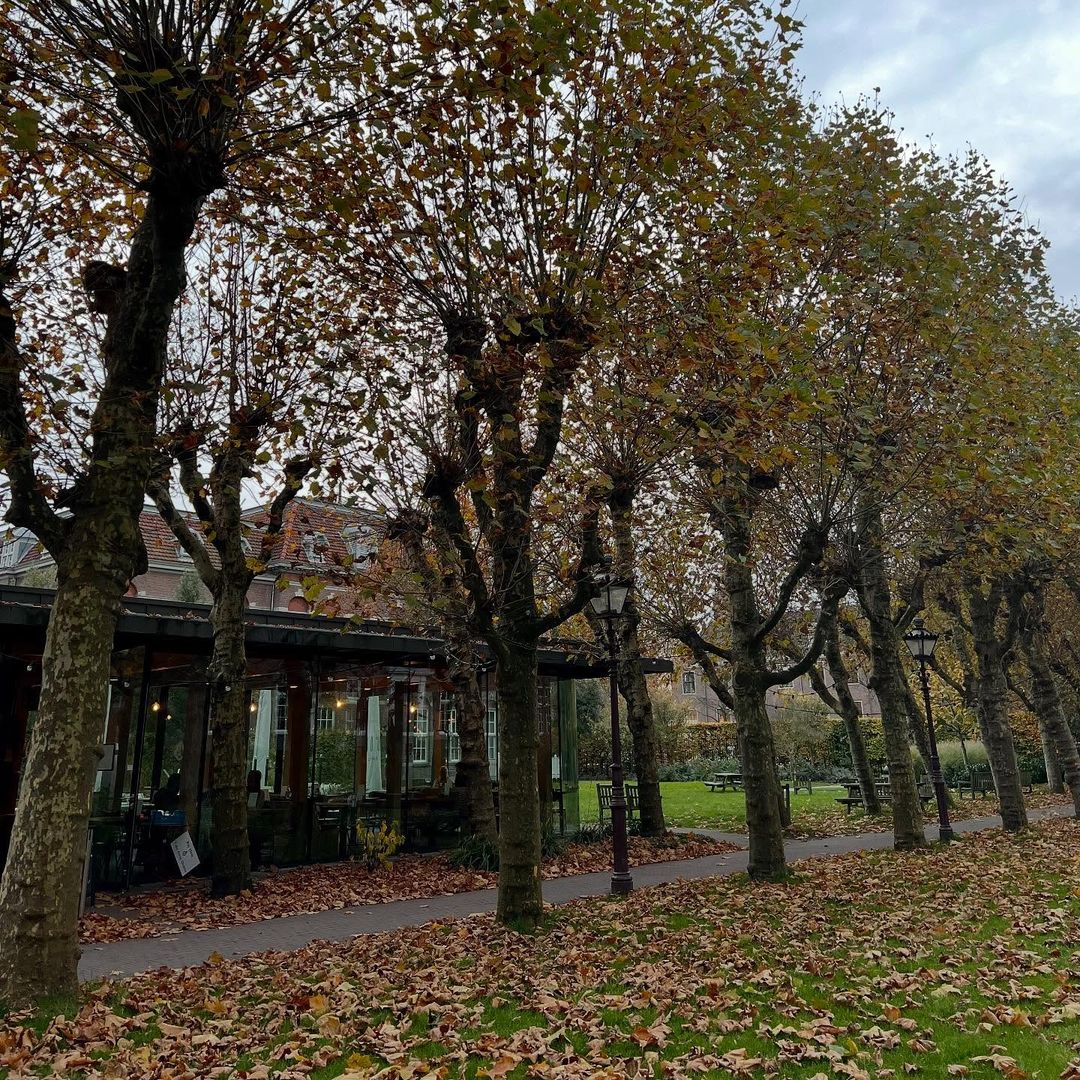 Dignita Hoftuin Café en Amsterdam