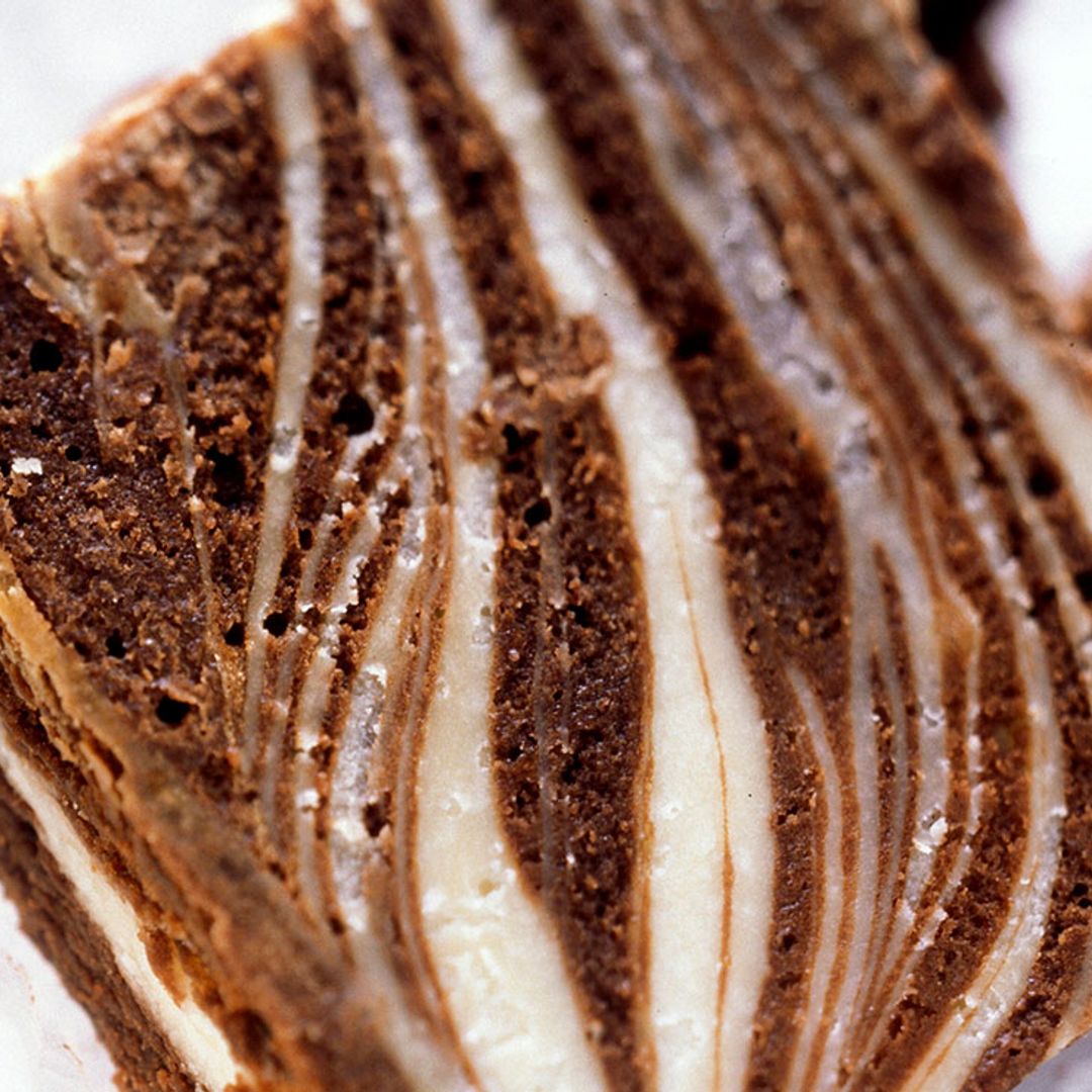 Bizcocho cebra de queso y chocolate